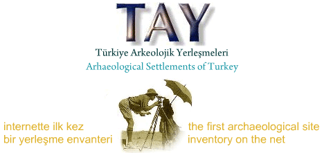 http://www.tayproject.org/imgif/tayorta.gif