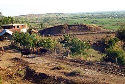 Hacibaba Tepesi