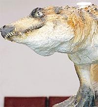 TAY-Arkeoloji, Sanat Tarihi, Kültür Varlıkları, Koruma, Tahribat