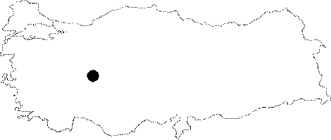 Anatolia Map