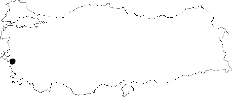 Anatolia Map