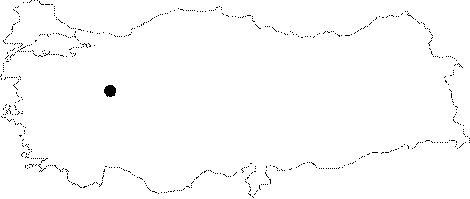 Anatolia Map