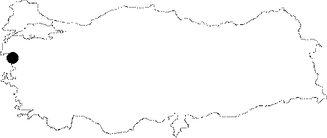 Anatolia Map