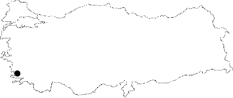 Anatolia Map