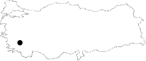 Anatolia Map