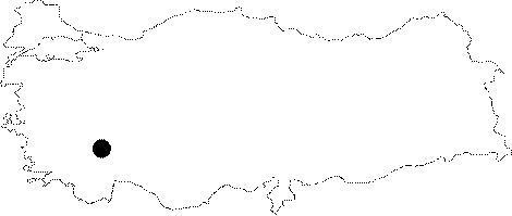 Anatolia Map