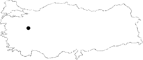 Anatolia Map