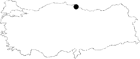 Anatolia Map