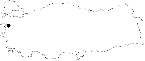 Anatolia Map