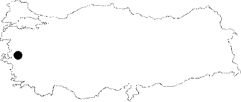 Anatolia Map