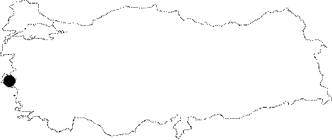 Anatolia Map