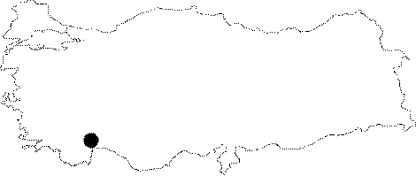 Anatolia Map