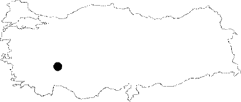 Anatolia Map