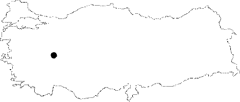 Anatolia Map