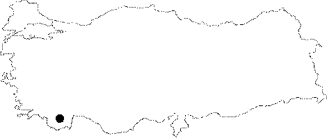 Anatolia Map