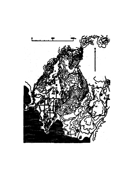 Buluntu