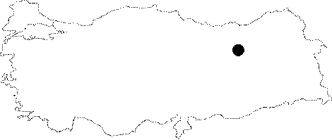 Anatolia Map