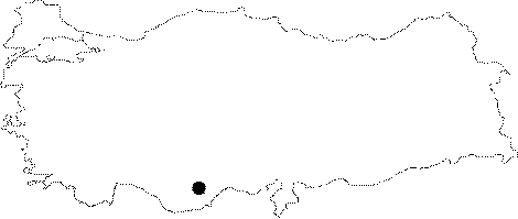 Anatolia Map