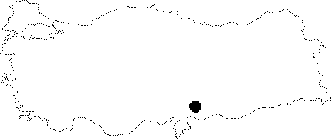maps