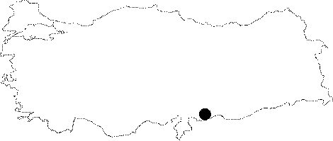 maps