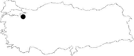 Anatolian Map