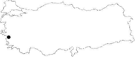 Anatolia Map