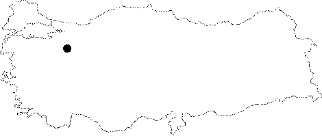 maps