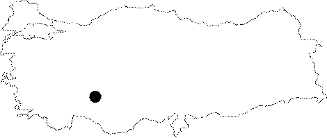 Anatolia Map