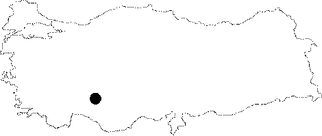 Anatolia Map