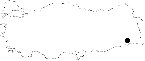 maps