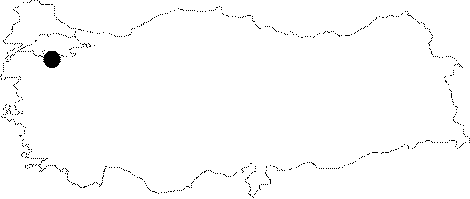 Haritalar