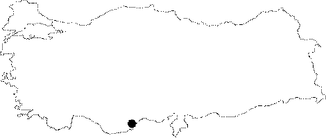 Anatolia Map