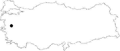 maps