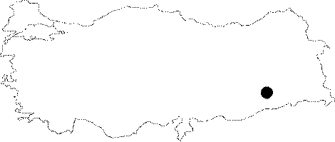 Anatolia Map