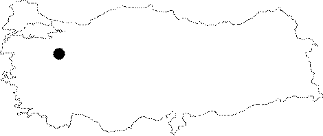 Anatolia Map