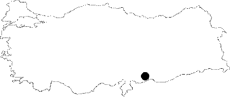 Anatolia Map