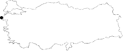 maps