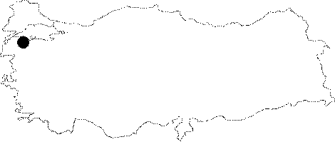 maps
