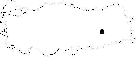 maps