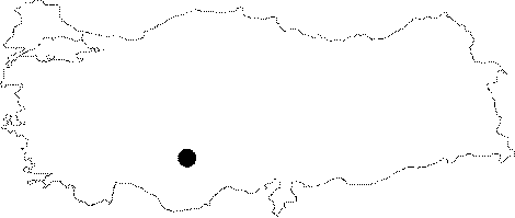 Anatolia Map