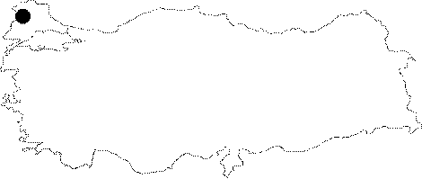 Anatolia Map