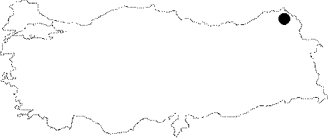 Anatolia Map