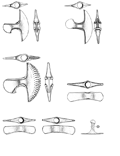 Buluntu