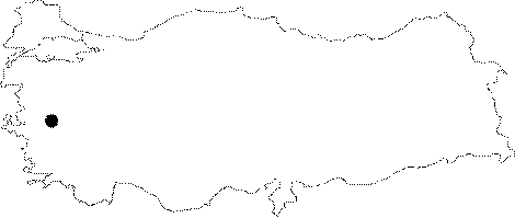 Anatolia Map