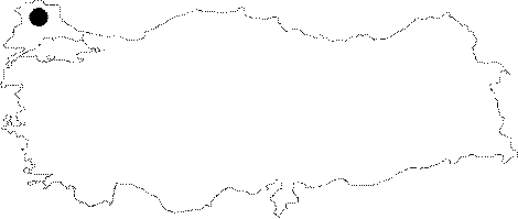 Anatolia Map