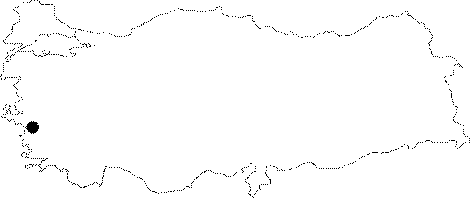 Anatolia Map