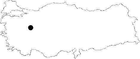 Anatolia Map