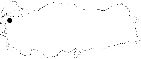 maps