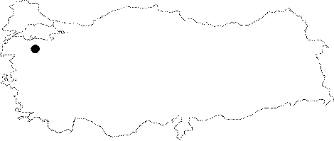 Anatolia Map