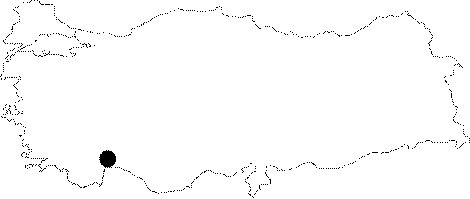 Anatolia Map